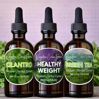 Metabolism Support