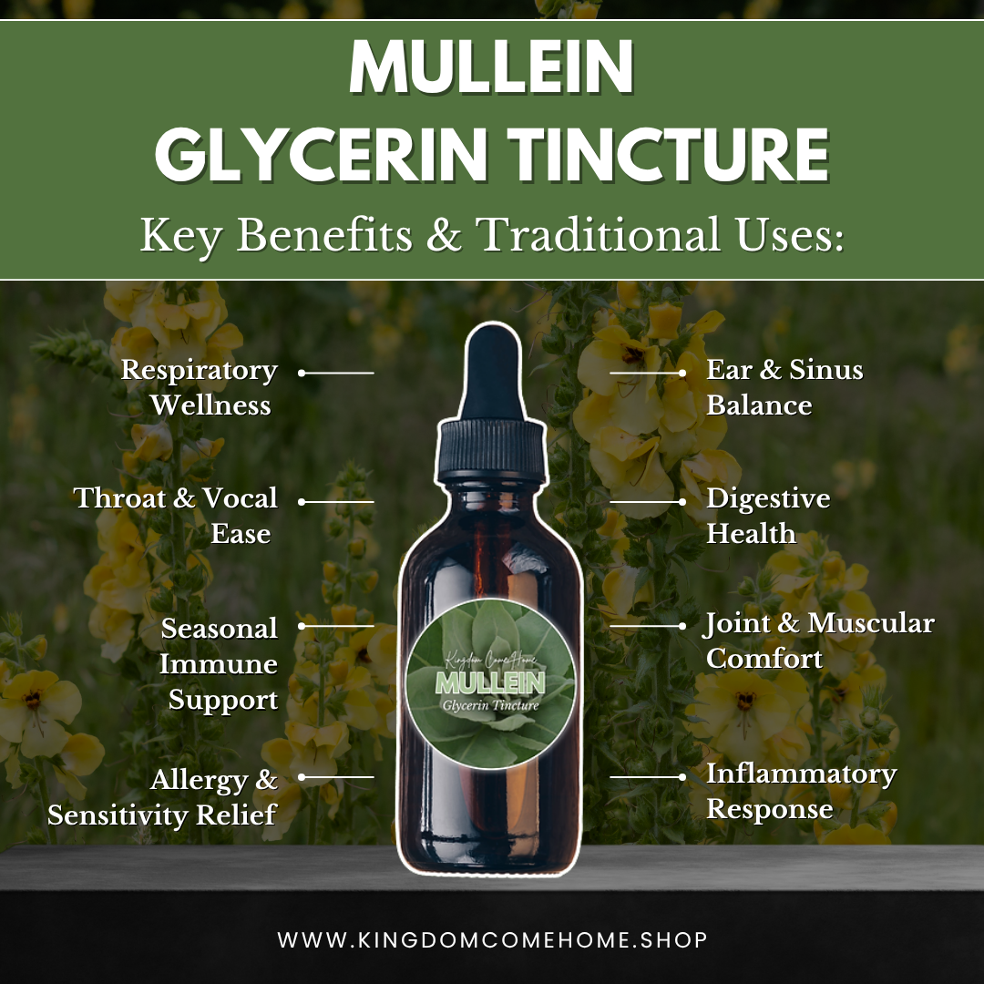 Mullein - Glycerin Tincture
